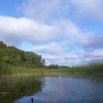 Bucholz-Müritz-Priborn-Im-Langen-Ort-Nebel-Langhagensee-075