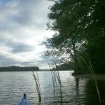 Bucholz-Müritz-Priborn-Im-Langen-Ort-Nebel-Langhagensee-079