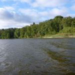 Bucholz-Müritz-Priborn-Im-Langen-Ort-Nebel-Langhagensee-083