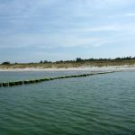 Kajak-Insel-Hiddensee-Dornbusch-111