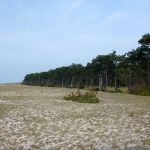 Kajak-Insel-Hiddensee-Dornbusch-126