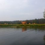 Malchow-Fleesensee-Kölpinsee-012