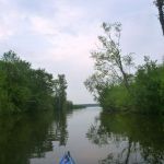 Malchow-Fleesensee-Kölpinsee-070