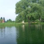 Malchow-Fleesensee-Kölpinsee-117