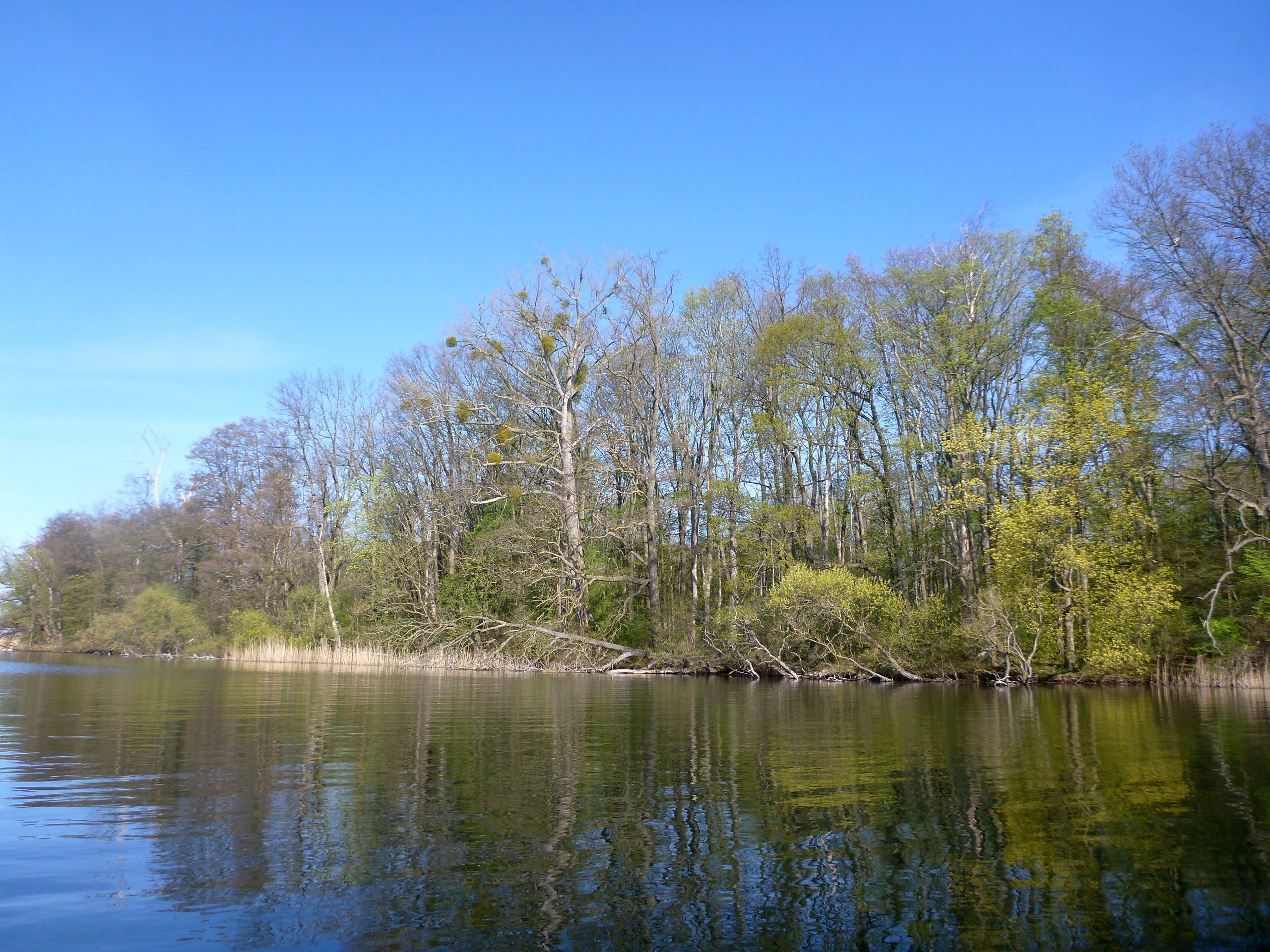 Schweriner-See-Inseln-Schloss-Stein-139