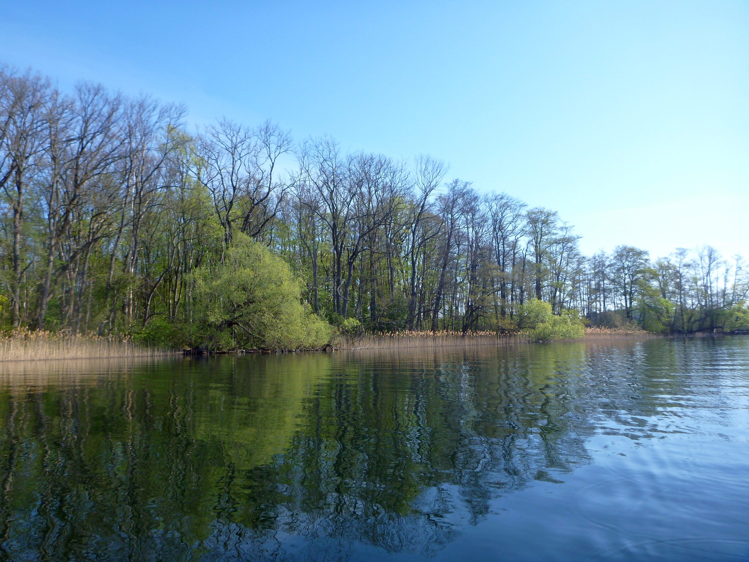 Schweriner-See-Inseln-Schloss-Stein-141