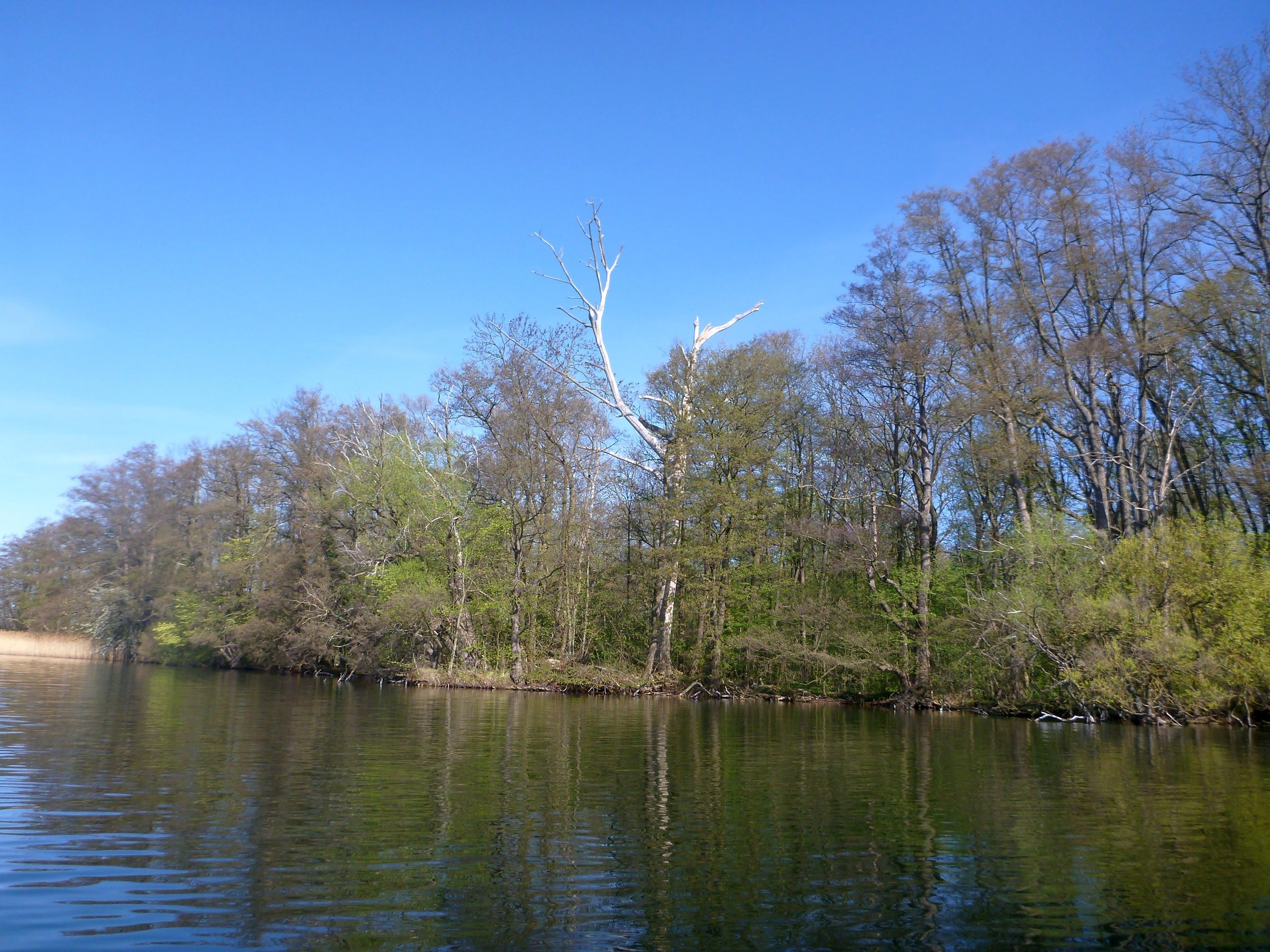 Schweriner-See-Inseln-Schloss-Stein-142