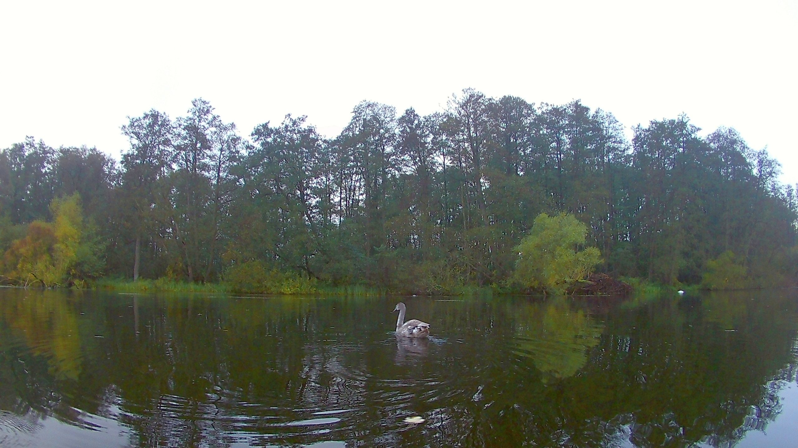 Wakenitz-Grenzfahrt-033