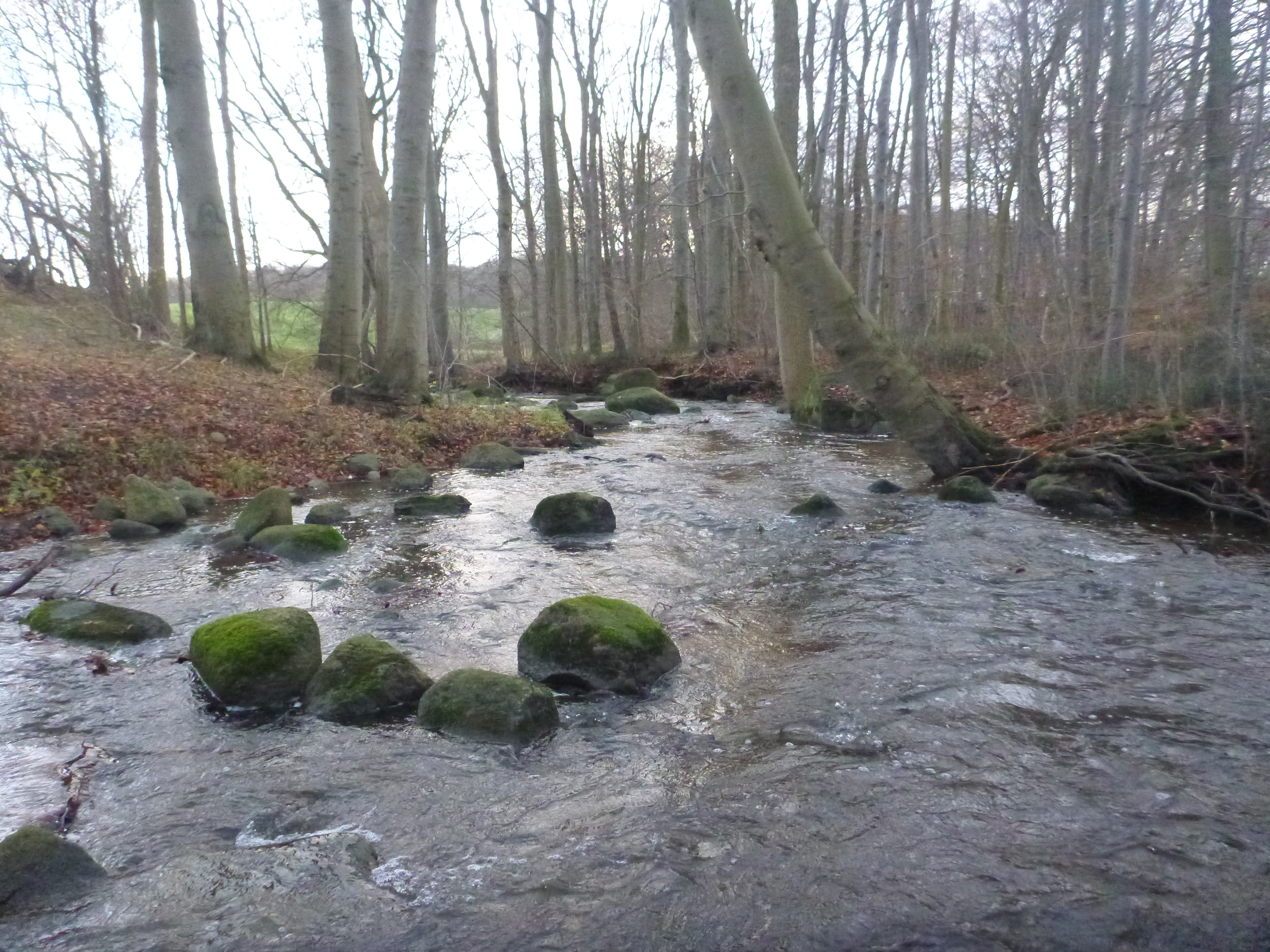 Wildwasser in der kleinen Beke