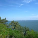 Große Paddeltour auf dem Großen Jasmunder Bodden