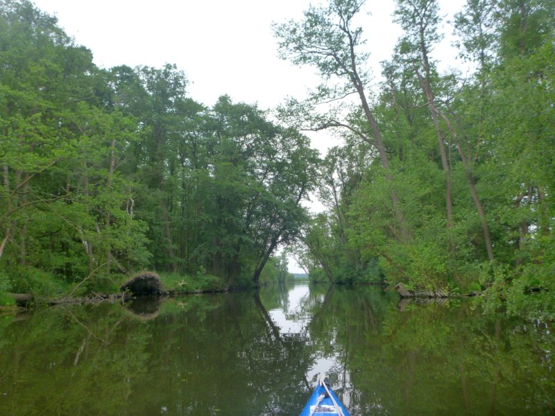 Malchow-Fleesensee-Kölpinsee-063