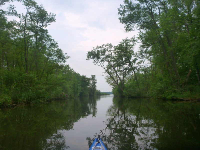 Malchow-Fleesensee-Kölpinsee-068