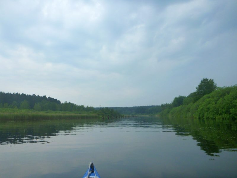 Malchow-Fleesensee-Kölpinsee-143