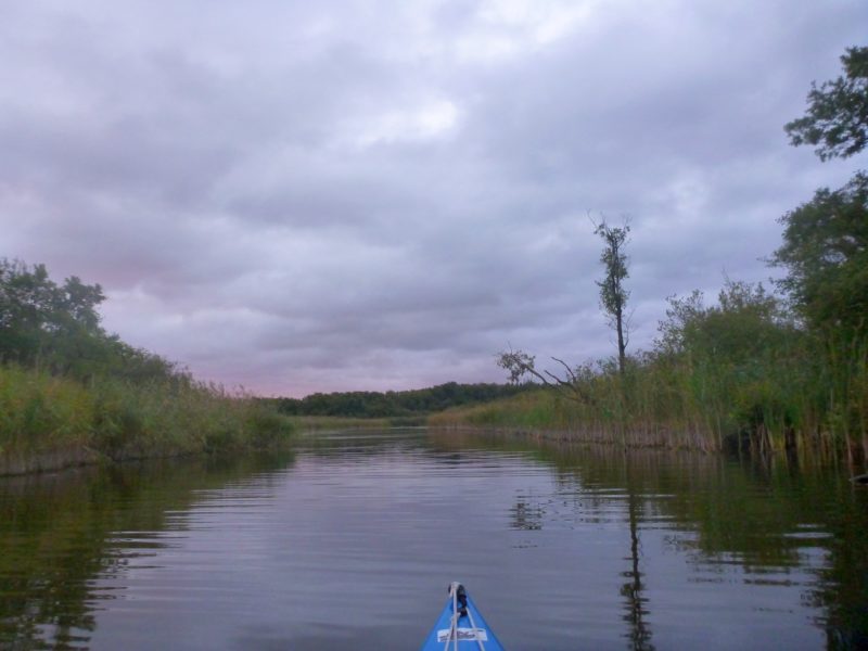 Bucholz-Müritz-Priborn-Im-Langen-Ort-Nebel-Langhagensee-002