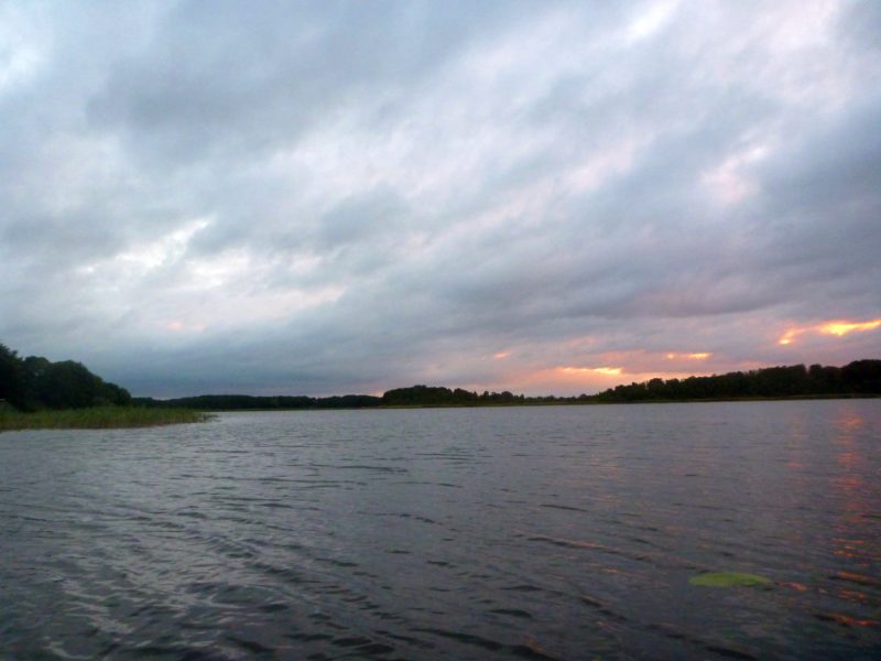 Bucholz-Müritz-Priborn-Im-Langen-Ort-Nebel-Langhagensee-003