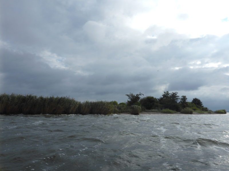 Paddeln-Peene-Gnitz-Goermitz-Achterwasser-07